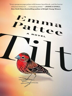 Tilt - ebook